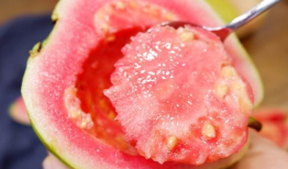 芭乐视频,揭秘热门短视频背后的魅力与影响力