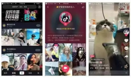 91抖音看直播要vip,解锁精彩无限