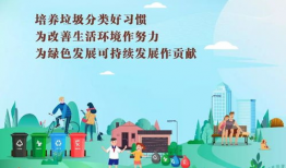 垃圾分类宣传视频,守护绿色家园——视频深度解读